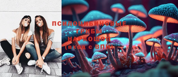 мяу мяу мука Алексин