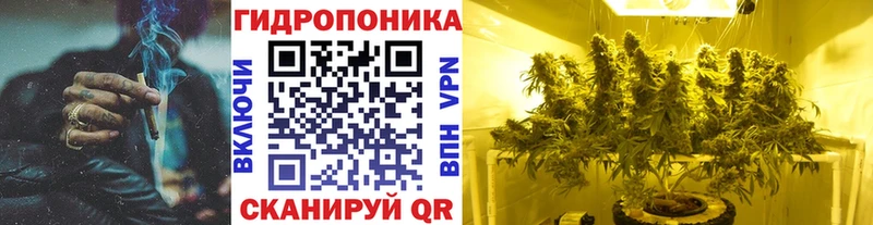 дарк нет телеграм  Феодосия  Бошки Шишки Amnesia 